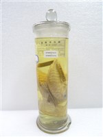 藏品(松球魚)的圖片